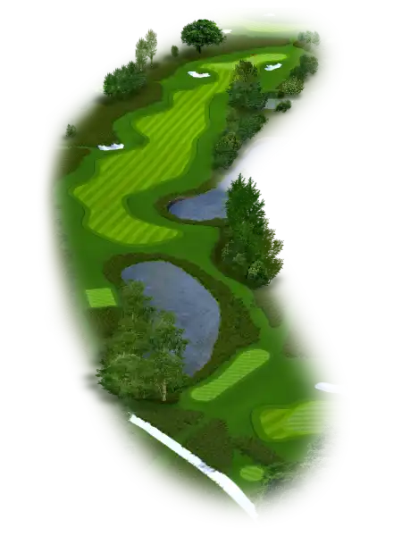 Golf 3D Flyover